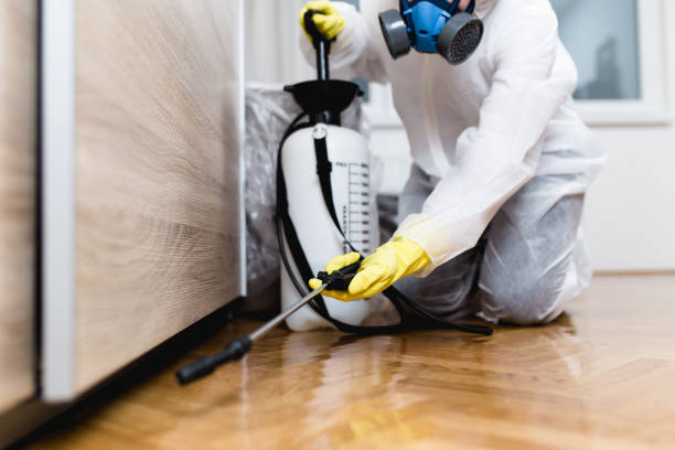 Reliable University Park, NM Pest Control Solutions