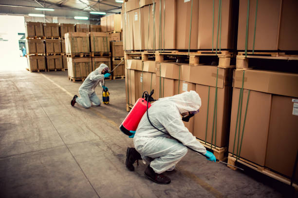 Best Pest Removal Services  in University Park, NM