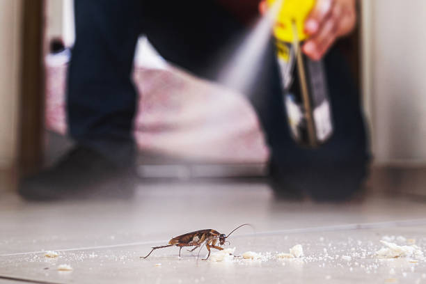 Best Affordable Pest Control Services  in University Park, NM