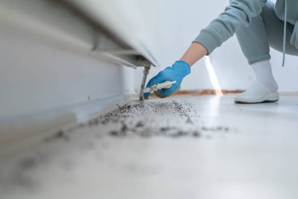 Best Best Pest Control Companies  in University Park, NM